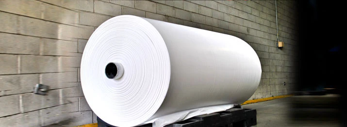 CS/500  BAG REGULAR HIGH DENSITY BLACK 26X36 (50BG X 10RL)