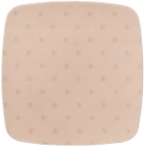 BX/10 AQUACEL AG FOAM NON-ADHESIVE 10CM X 10CM