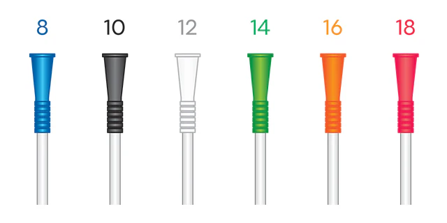 GentleCath™ Uncoated Intermittent Urinary Catheter for Females - Box of 100 - Image 3
